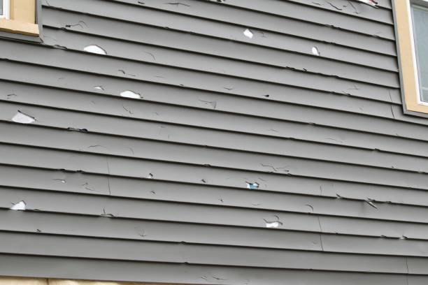 Best Same-Day Junk Removal Services  in Charleston, MO